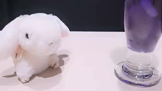 槐(えんじゅ)の配信のサムネイル画像