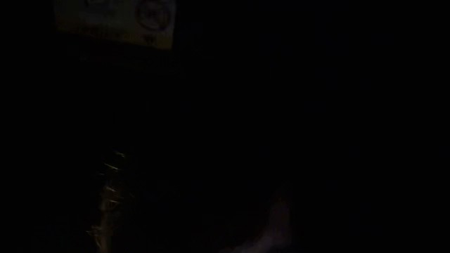 ヤミー@お茶爆垢の配信のサムネイル画像