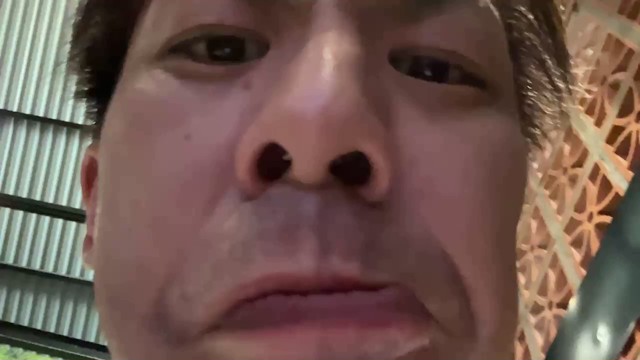 こまい！！！の配信のサムネイル画像