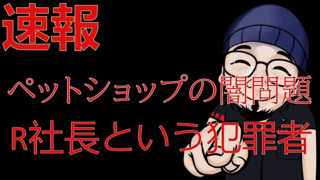 海老蔵かもしれないの配信のサムネイル画像