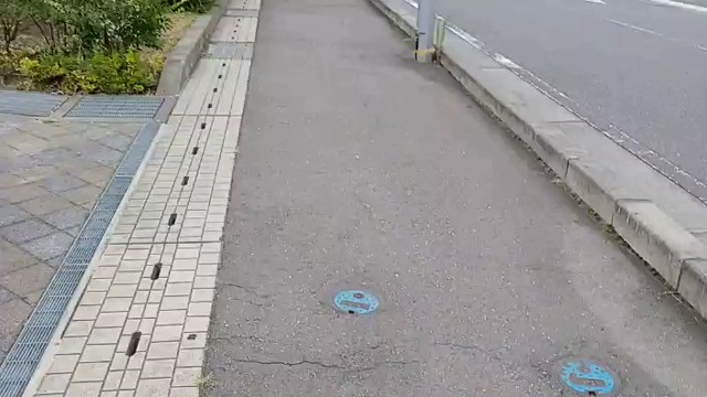 選挙ウォッチャーちだいの配信のサムネイル画像