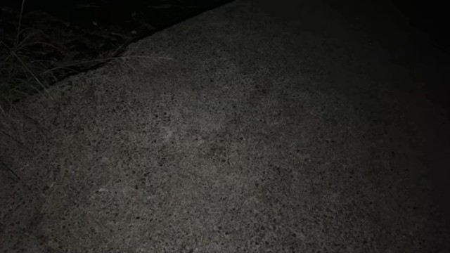 3時の配信のサムネイル画像