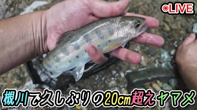うたまるの配信のサムネイル画像
