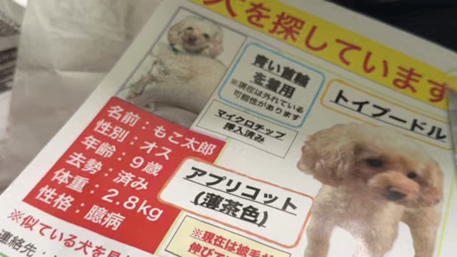 横山緑（本物）の配信のサムネイル画像