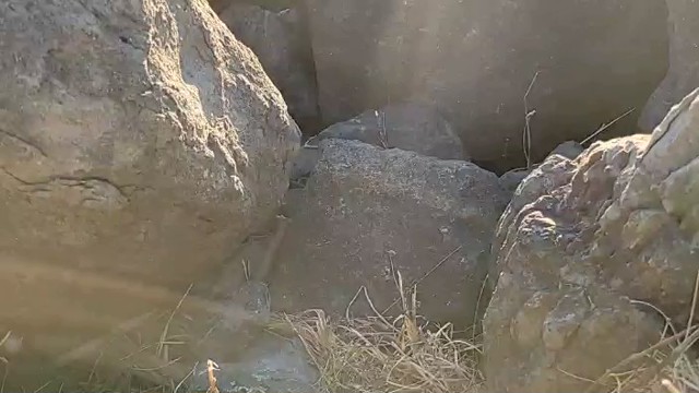 野田草履Ｐの配信のサムネイル画像