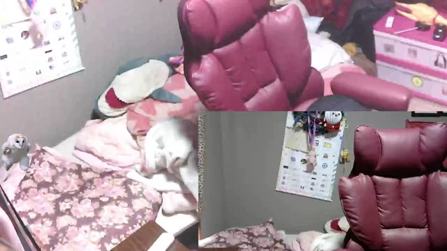 野田草履サブアカウントの配信のサムネイル画像
