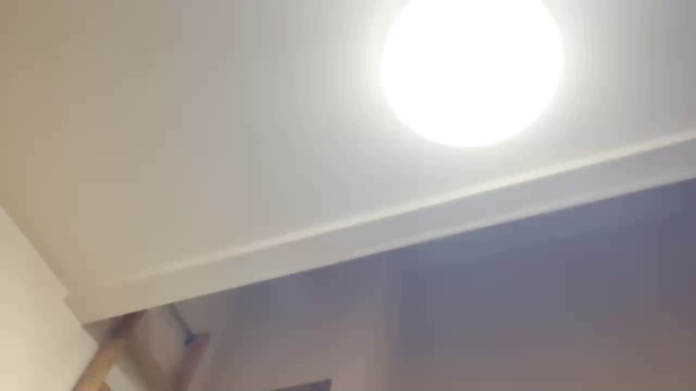はるさん。の配信のサムネイル画像