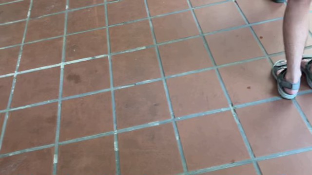 こまい！！！の配信のサムネイル画像