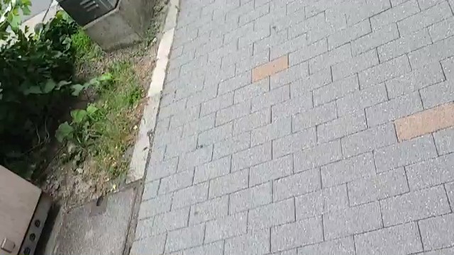 選挙ウォッチャーちだいの配信のサムネイル画像