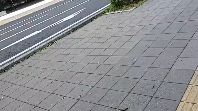選挙ウォッチャーちだいの配信のサムネイル画像