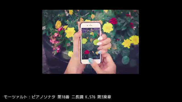 【公式】ちょこちゃんねる🥚🦕の配信のサムネイル画像