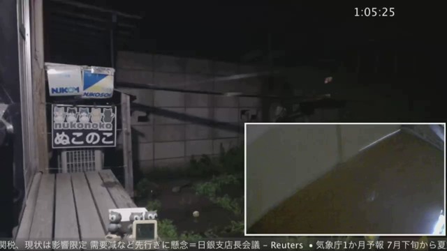 ぬこのこの配信のサムネイル画像