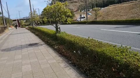 選挙ウォッチャーちだいの配信のサムネイル画像