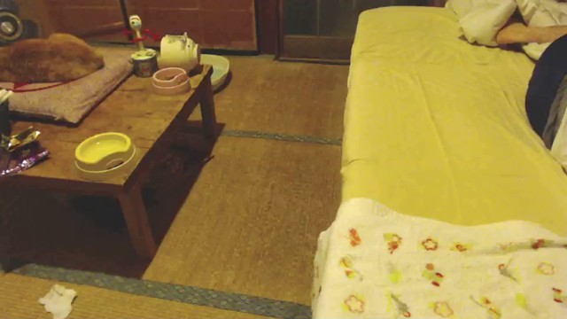 ベーブ・ルーヌの配信のサムネイル画像