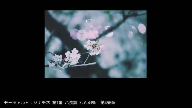 【公式】ちょこちゃんねる🥚🦕の配信のサムネイル画像