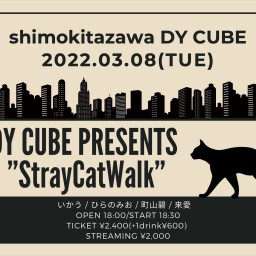DY CUBE presents "StrayCatWalk"