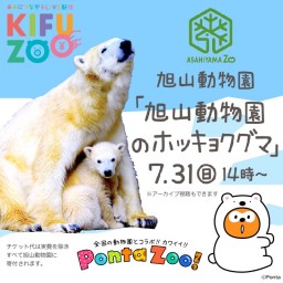 KIFUZOO×Ponta 旭山動物園「ホッキョクグマ」