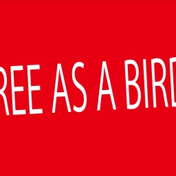 2020.8.15 FREE AS A BIRD