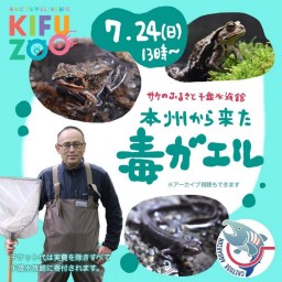 KIFUZOO千歳水族館「本州から来た毒ガエル」