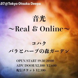 音光〜REAL & ONLINE〜