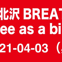 2021-04-03（昼）  Free as a bird
