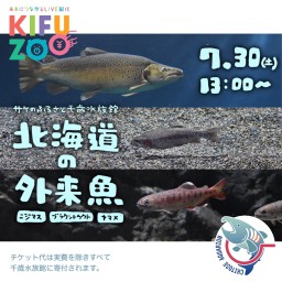 KIFUZOO千歳水族館「北海道の外来魚」
