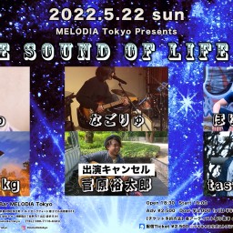 【The Sound Of Life #5】