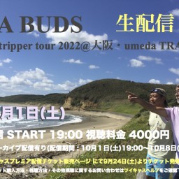 DA BUDS surf tripper tour2022@大阪