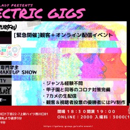 ELECTRIC GIGS