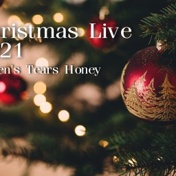 (12/23)Q.T.Honey ChristmasLive