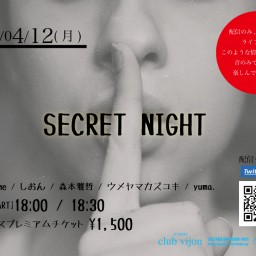 vijon pre 【SECRET NIGHT】