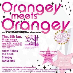 Orangey meets Orangey vol.22