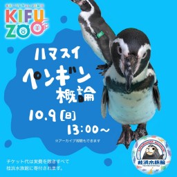 KIFUZOO桂浜水族館「ペンギン概論」
