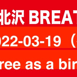 2021-03-19（夜） Free as a bird