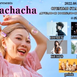 chachacha【HOMEY】
