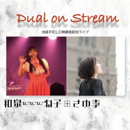 Dual on Stream 2月27日