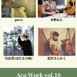 Aco Work vol.10