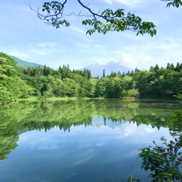森林セラピーロードからアコースティックコンサート@長野県黒姫高原