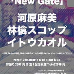 New Gate20201128