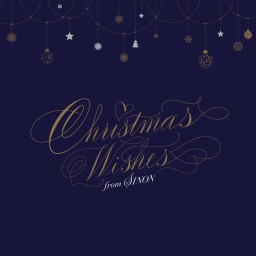 SINON~Christmas Wishes~
