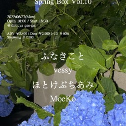 Spring Box Vol.10