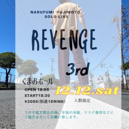 revenge  vo.3