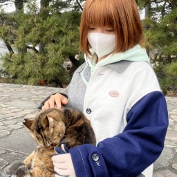花野会