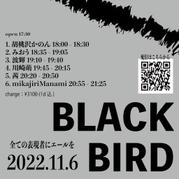2022-11-06 blackbird Vol.7