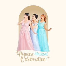 Princess Musical Celebration Night time