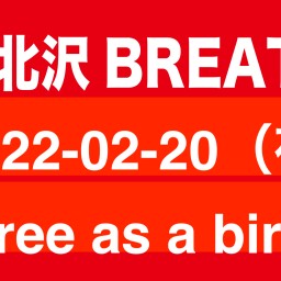 2022-02-20（夜） Free as a bird