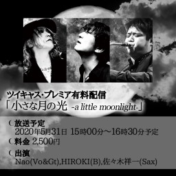 「小さな月の光-a little moonlight-」5/31