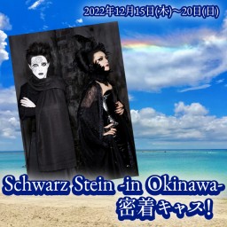 Schwarz Stein in Okinawa close coverage