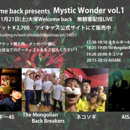 Mystic Wonder vol.1