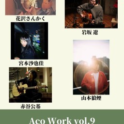 Aco Work vol.9